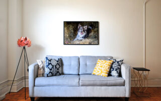 Pannello di arredo design