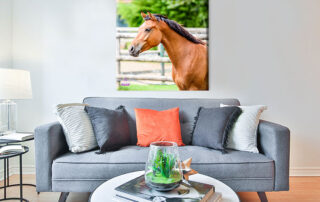 Pannello di arredo design