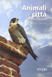 Animali in città