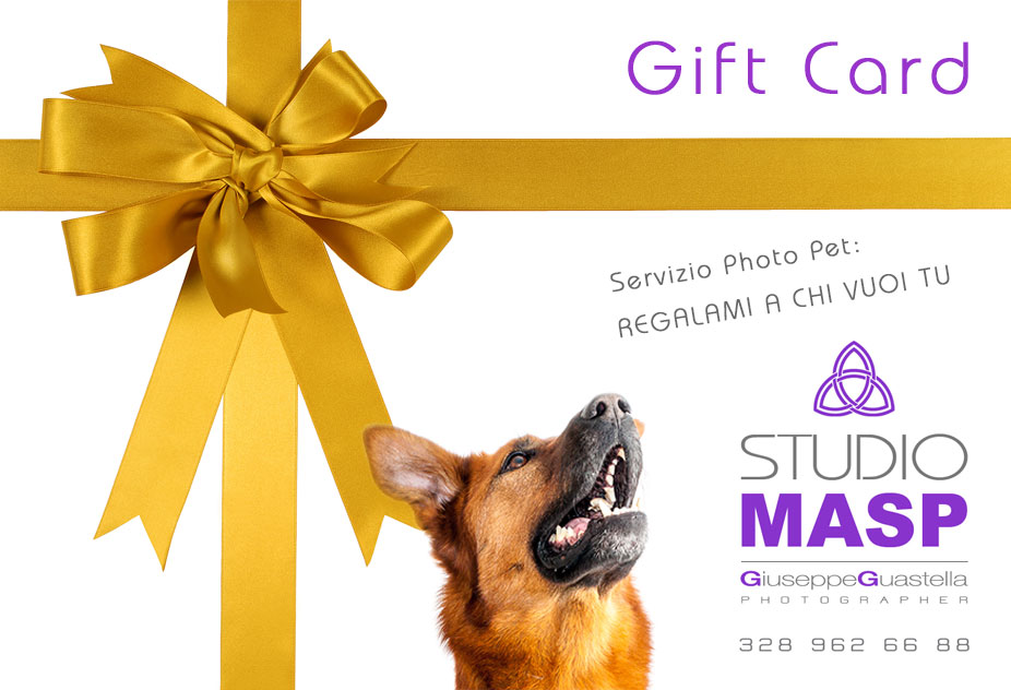 Gift Card Pet Photography 