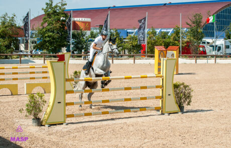 ritratto con animali