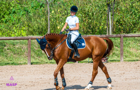 ritratto con animali