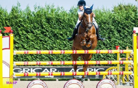 ritratto con animali