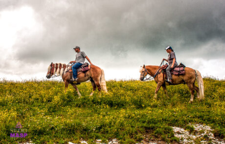 ritratto con animali-0919 ritratto con animali